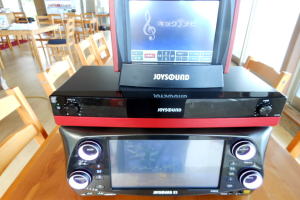 JS-NX10